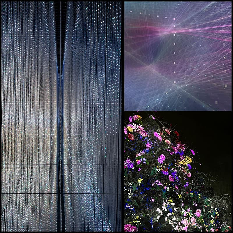 teamLab: Future World — Exhibition Introductio